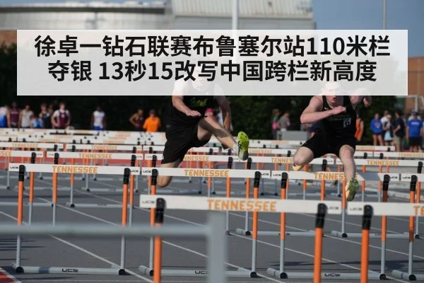 110m hurdles race